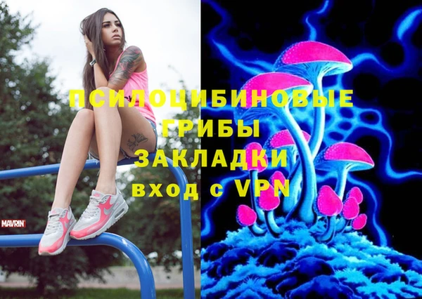 прущие грибы Бугульма