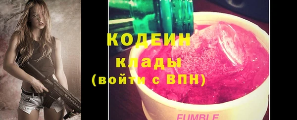 прущие грибы Бугульма