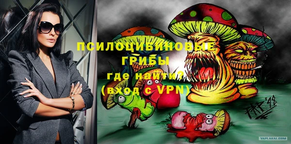 прущие грибы Бугульма
