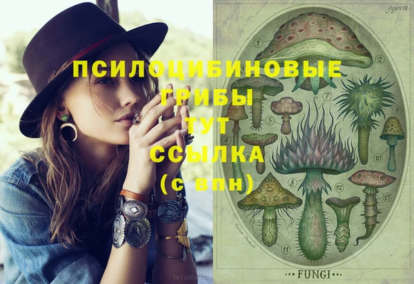 гидропоника Бронницы