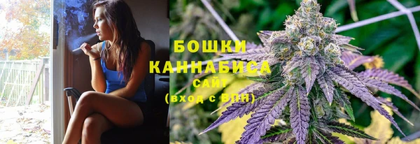 прущие грибы Бугульма