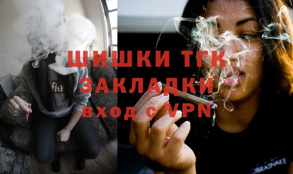 соль ск Бородино