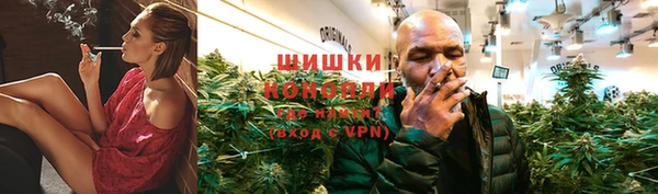 гашик Богородск