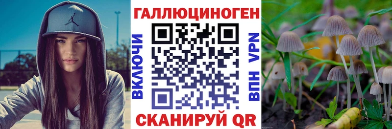 Галлюциногенные грибы мухоморы Дятьково